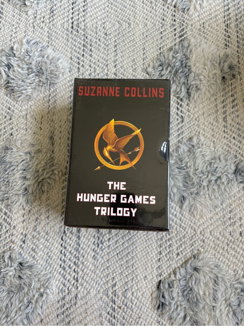 Hunger Games - Picture 1 of 6